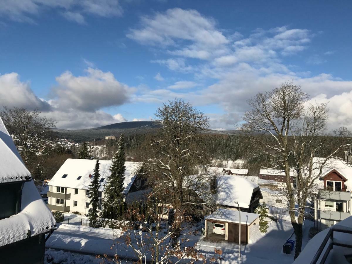 Chalet am Hasselkopf Braunlage Eksteriør billede