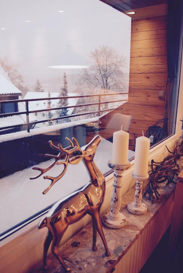 Chalet am Hasselkopf Braunlage Eksteriør billede